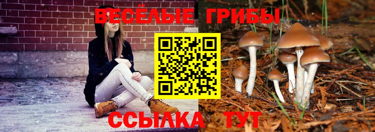 Псилоцибиновые грибы мицелий  Галлюциногенные грибы Magic Shrooms  Вход с VPN  наркошоп  Одинцово 